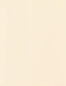 Biscuit material swatch